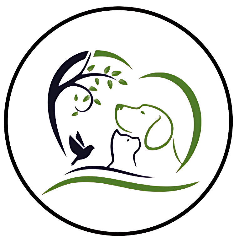 City Veterinary Hospital